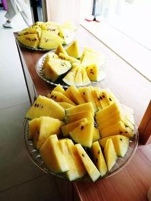 菁箐吃瓜,揭秘娱乐圈那些不为人知的幕后故事